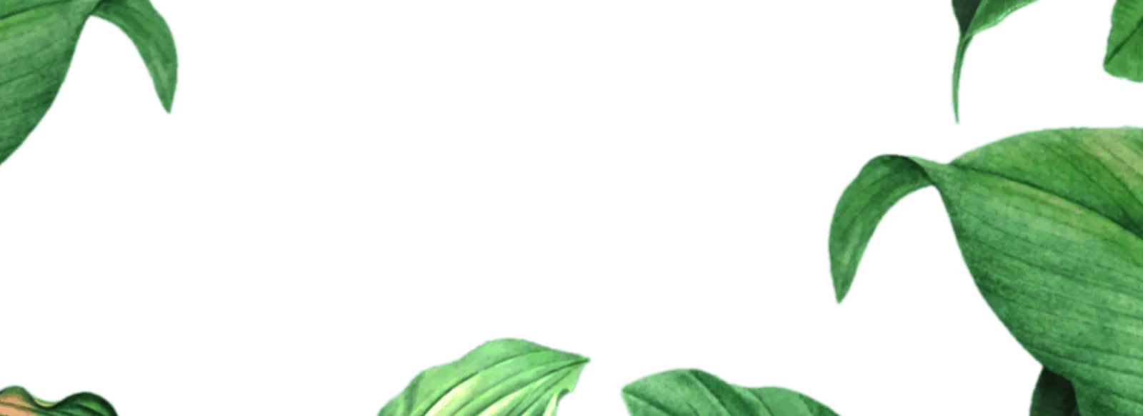 img-slider21